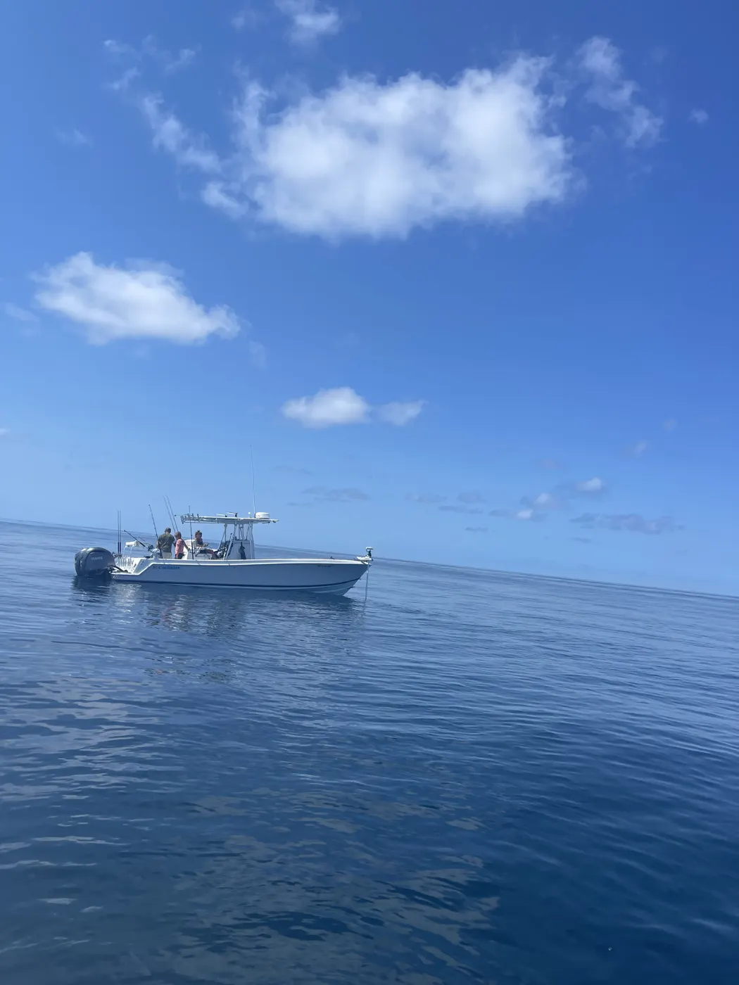 Planer Fishing for Wahoo: The Meat-Fishing Change-Up