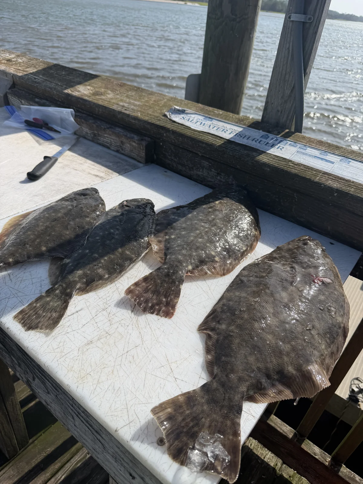 Inshore Report: Flounder Showing Up in Little River and Cherry Grove