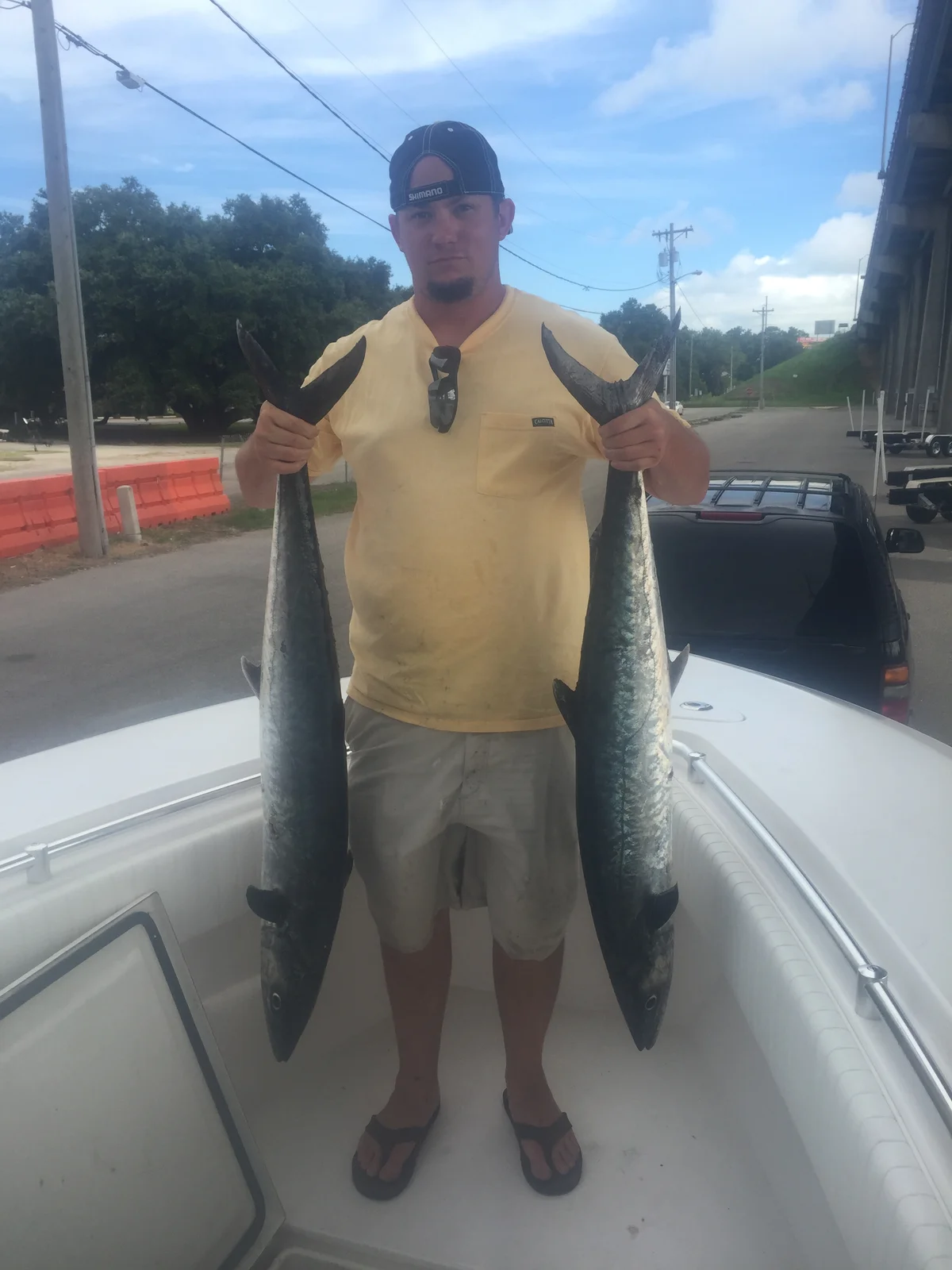 Rigging King Mackerel: Smoked Dead Bait and Slow-Trolled Live Bait