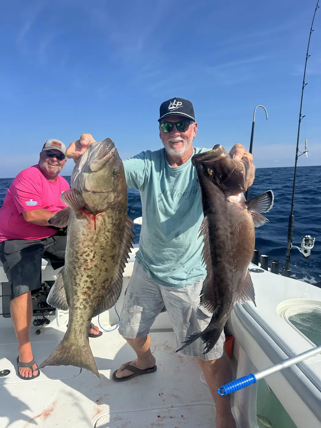 A double handful of South Carolina grouper from a summer bottom trip